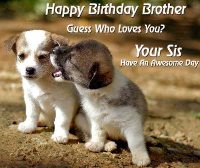 Happy Birthday Brother Quotes Happy Birthday Bro